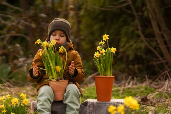 Pojken Tar Hand Blommorna Barnet Tar Hand Påskliljorna Krukan Trädgårdsskötsel — Stockfoto