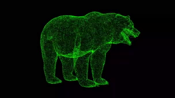 Urso Grizzly Gira Sobre Fundo Preto Objeto Feito Partículas Cintilantes — Vídeo de Stock