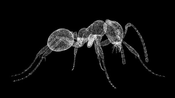 3D蚂蚁在黑色背景下旋转 用闪光的粒子制成的物体 野生动物的概念 环境保护 3D动画60 Fps — 图库视频影像
