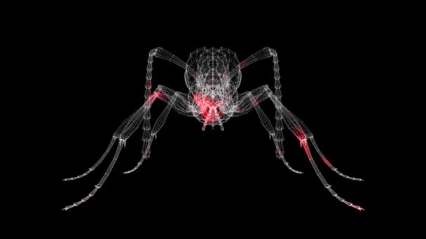 Propagación Del Virus Través Del Cuerpo Insectos Sobre Fondo Negro — Vídeo de stock