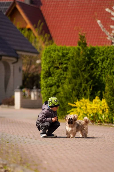 Ein Kleiner Junge Geht Mit Seinem Hund Spazieren Sorge Für — Stockfoto