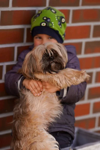 Kisfiú Szeretetteljesen Ölelgeti Kutyáját Koncentrálj Kutyára — Stock Fotó