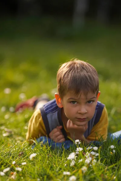 Een Gelukkig Kind Ligt Het Gras Tussen Madeliefjes Behoud Van — Stockfoto