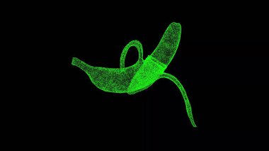 Siyah bg üzerinde 3 boyutlu soyulmuş muz. Nesne titreşen parçacıkları eritti. Sağlıklı gıda konsepti. Başlık, metin, sunum için. 3d canlandırma