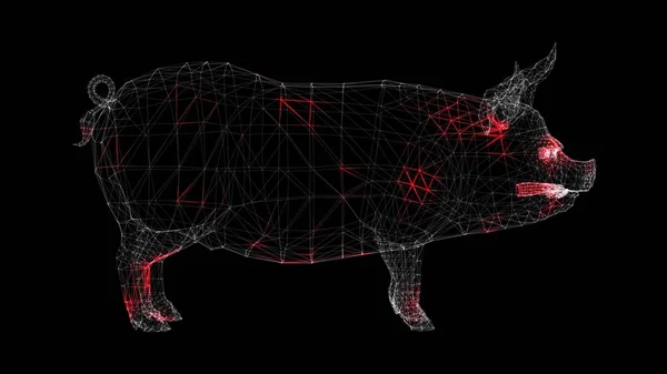 病毒通过猪单色体在黑色背景上的体积传播 猪流感 病毒在体内的可视化展示 医学概念 3D动画 — 图库照片