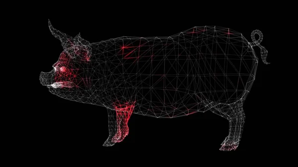 黒の背景に豚モノクロームの回転体積体を介してウイルスの広がり 豚インフルエンザだ 体内のウイルスの視覚的なデモンストレーション 科学医学の概念 3Dアニメーション — ストック写真
