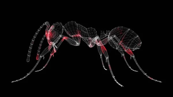 黒い背景に昆虫の3Dボディを通してウイルスの広がり 動物や昆虫による感染拡大 体内のウイルスの視覚的なデモンストレーション 科学医学の概念 3Dアニメーション — ストック写真