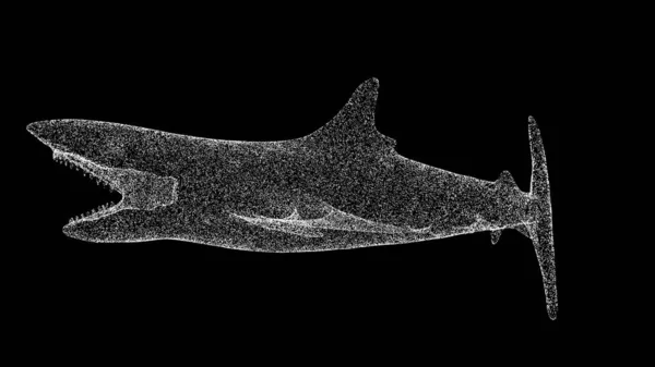 3D鲨鱼 嘴张开 黑色背景 用闪光的粒子制成的物体 野生动物的概念 3D动画 — 图库照片