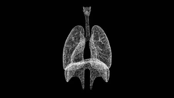 Pulmões Humanos Preto Sistema Respiratório Corpo Humano Objeto Partículas Cintilantes — Fotografia de Stock