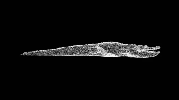 黑色背景上的3D鳄鱼 用闪光的粒子制成的物体 野生动物的概念 环境保护 3D动画 — 图库照片