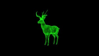 Üç boyutlu geyik siyah arka planda döner. Nesne çözünmüş yeşil parçacıklar 60 FPS. Bilim konsepti. Başlık ve sunum için soyut bg. Holografik ekran koruyucu. 3 Boyutlu Canlandırma.