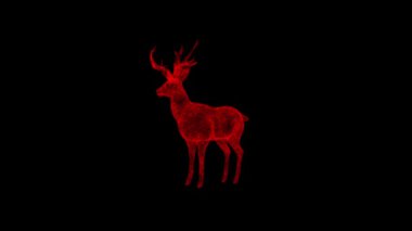 Üç boyutlu geyik siyah arka planda döner. Nesne çözünmüş kırmızı titreşen parçacıklar 60 FPS. Bilim konsepti. Başlık ve sunum için soyut bg. Holografik ekran koruyucu. 3 Boyutlu Canlandırma.
