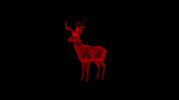 Deer Rotates Black Background Object Dissolved Red Flickering Particles Fps — Stock Video