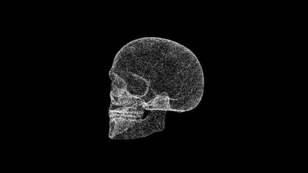 Lidská Lebka Rotuje Černém Pozadí Rozpuštěné Bílé Blikající Částice Fps — Stock video
