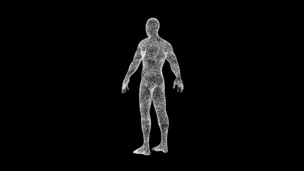 Corpo Umano Ruota Sfondo Nero Oggetto Sciolto Bianco Sfarfallio Particelle — Video Stock