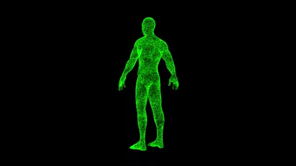 Ludzkie Ciało Obraca Się Czarnym Tle Obiekt Rozpuszcza Zielone Migoczące — Wideo stockowe