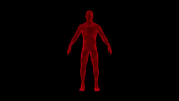 Τρισδιάστατο Ανθρώπινο Σώμα Περιστρέφεται Μαύρο Φόντο Αντικείμενο Διαλυμένο Κόκκινο Τρεμοπαίζει — Αρχείο Βίντεο