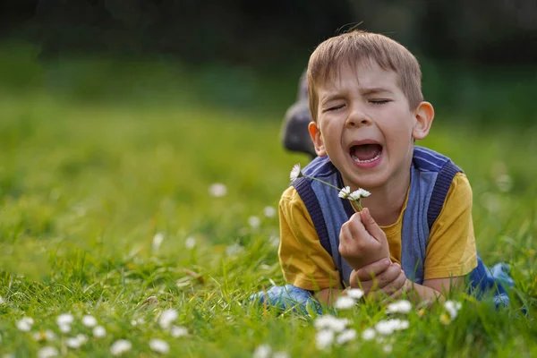 Chlapec Leží Louce Mezi Sedmikráskami Kýchá Alergie Divoké Květiny — Stock fotografie