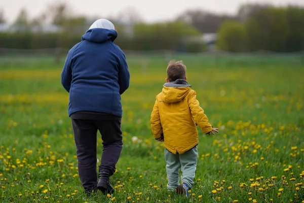 Grandma walking with her grandson through a spring field of dandelions, happy retirement, rear view
