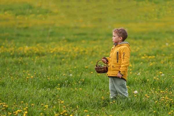 Een Schattig Jongetje Een Jasje Staat Een Groene Weide Zijn — Stockfoto