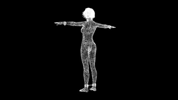 Bdsm衣装の3Dセクシーな女性は黒のバッグで回転します 物体はちらつき粒子を溶解した Bdsmアクセサリー ニップルクラスプ 金属チェーン Bsmのコンセプト タイトル テキスト プレゼンテーションのために 3Dアニメーション60 — ストック動画
