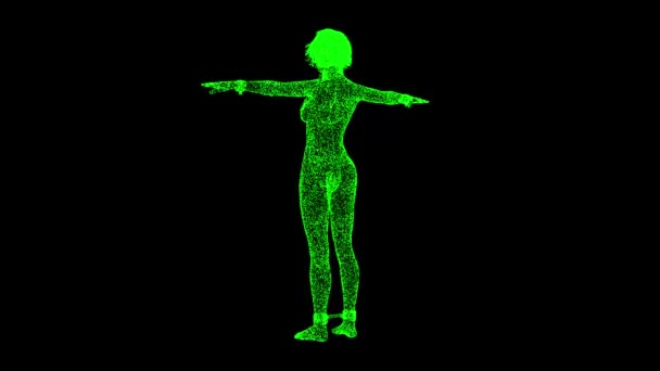 Bdsm衣装の3D裸の女性の体は黒の袋に回転します Bdsmアクセサリー ニップルクラスプ 金属チェーン Bsmのコンセプト タイトル テキスト プレゼンテーションのために 3Dアニメーション60 Fps — ストック動画