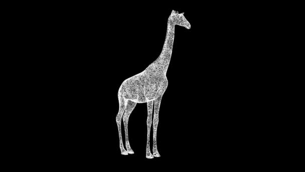 Žirafa Rotuje Černém Pozadí Objekt Vyrobený Třpytivých Částic Koncept Divokých — Stock video