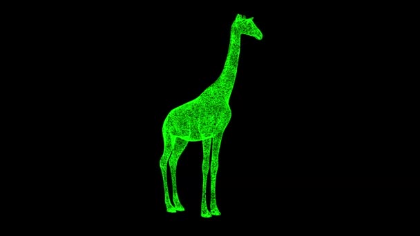 Girafa Gira Sobre Fundo Preto Objeto Feito Partículas Cintilantes Conceito — Vídeo de Stock