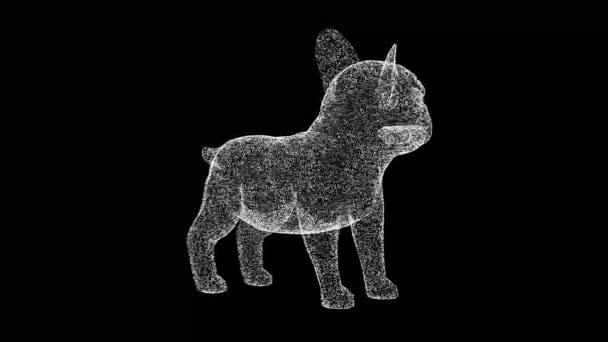 Pes Buldok Rotuje Černém Pozadí Objekt Vyrobený Třpytivých Částic Koncept — Stock video