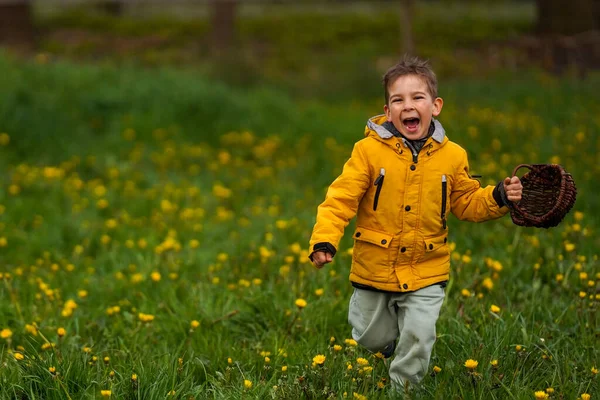 一个孩子手里拿着篮子 高兴地跑过一片绿地 年轻快乐的男孩提着篮子在绿地上奔跑 — 图库照片