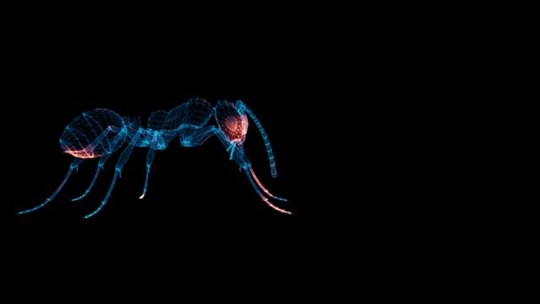 Ant Scan Ant Scanning Interface Hud Ant Analyserar Medicinsk Vetenskap — Stockvideo