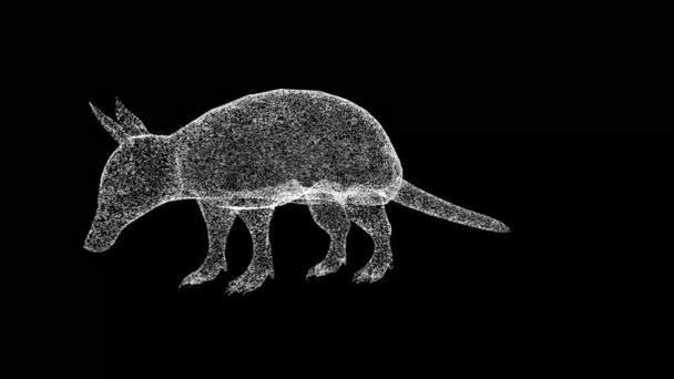 Armadillo在黑色背景下旋转 用闪光的粒子制成的物体 野生动物的概念 环境保护 3D动画60 Fps — 图库视频影像