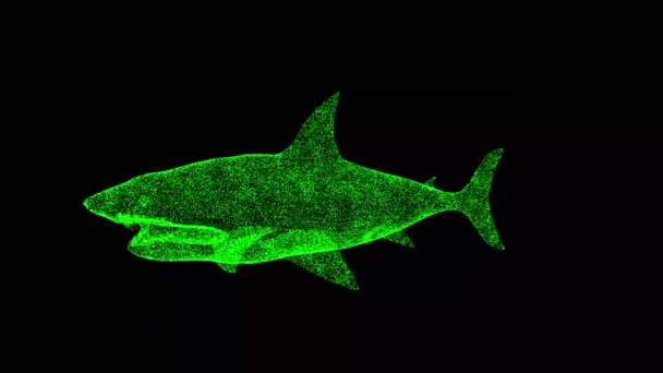 Tubarão Gira Sobre Fundo Preto Objeto Feito Partículas Cintilantes Conceito — Vídeo de Stock