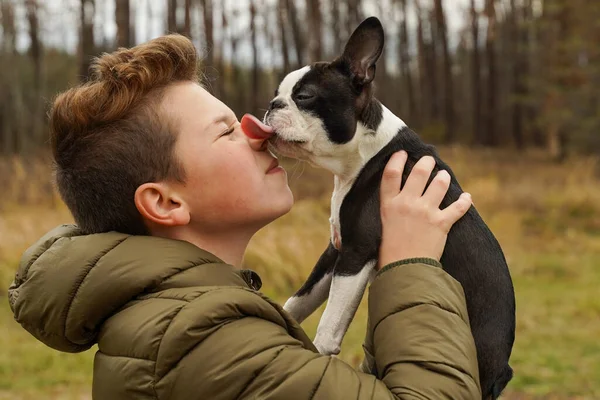 Boy Kisses His Beloved Dog Nose Friendship Care Happiness Concept — Stock Photo, Image