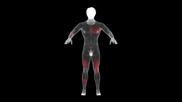 体温和疼痛在人体中的传播 扫描一个裸体男人的3D身体病毒在体内的可视化展示 医学概念 3D动画60 Fps — 图库视频影像