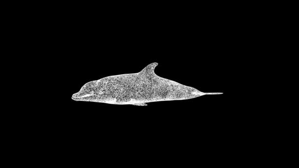 Δελφίνι Περιστρέφεται Μαύρο Φόντο Αντικείμενο Φτιαγμένο Από Αστραφτερά Σωματίδια Έννοια — Αρχείο Βίντεο