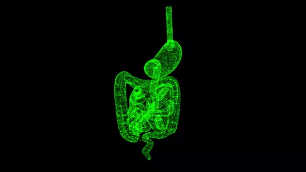 3D胃と腸は黒い袋で回転します 人間の消化器系 科学医学の概念 タイトル テキスト プレゼンテーションのために 物体はちらつき粒子を溶解した 3Dアニメーション60 Fps — ストック動画