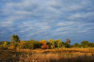 Bulutlu mavi gökyüzü ve tarla orman, sonbahar havası