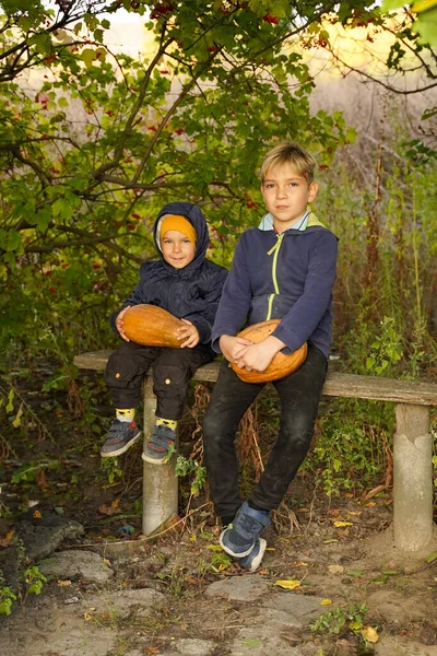 Children Sit Bench Pumpkins Preparing Halloween — Stock Photo, Image