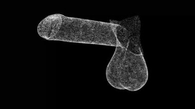 3D penis with testicles rotates on black bg. Male reproductive system. Scientific medical concept. For title, text, presentation. Object dissolved flickering particles. 3d animation 60 FPS