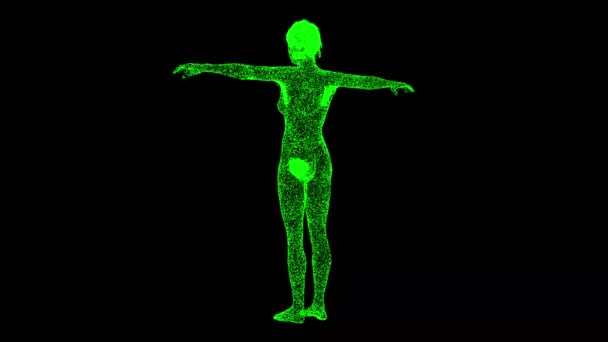 3D裸の女性は黒のバッグに回転します 乳房のある女性の医療用アニメーション 3次元の女性や女性の解剖 体内生物医学教育の概念 タイトル テキスト プレゼンテーションのために 3Dアニメーション60 Fps — ストック動画
