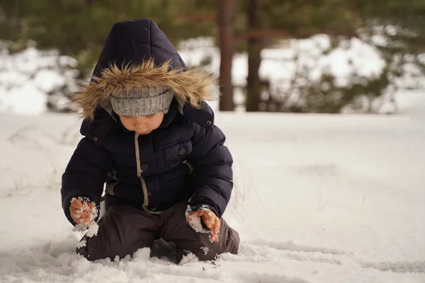 A preschool boy plays in the snow with interest. Snowy winter concept. Little boy plays winter day