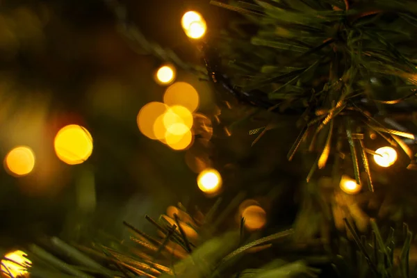 stock image Artificial spruce branch with lights with bokeh effect. Beautiful Christmas tree against blurred lights, closeup with space for text