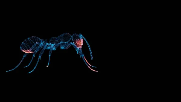 Escaneo Hormigas Interfaz Exploración Hormigas Hud Ant Analizar Concepto Anatomía —  Fotos de Stock