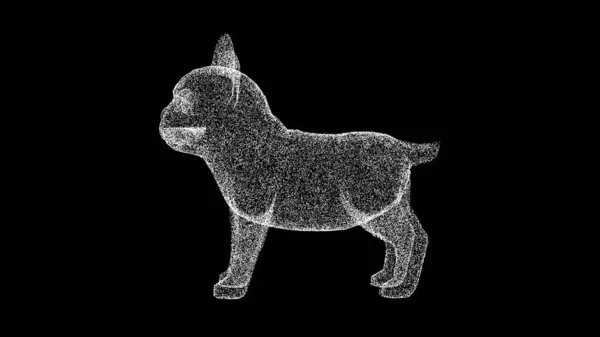 黒の背景に3D犬のブルドッグ 光る粒子でできた物体 ペットケアの概念 タイトル テキスト プレゼンテーションのために 3Dアニメーション — ストック写真
