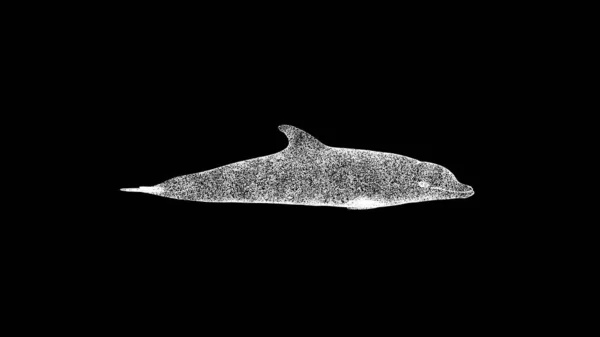 Дельфин Черном Фоне Объект Мерцающих Частиц Дикие Животные Концепция Защита — стоковое фото