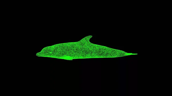 Dolfijn Zwarte Achtergrond Voorwerp Gemaakt Van Glinsterende Deeltjes Het Concept — Stockfoto