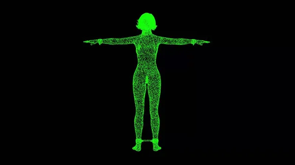 3D裸体女性身体在Bdsm服装的黑色Bg Bdsm配件 乳头扣 金属链 Bdsm概念 3D动画 — 图库照片