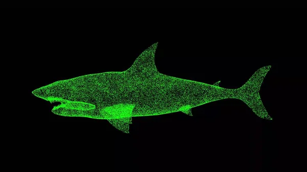 Акулы Черном Фоне Объект Мерцающих Частиц Дикие Животные Концепция Защита — стоковое фото