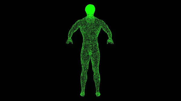 Meztelen Férfi Test Fekete Háttérrel Emberi Anatómia Koncepció Izom Anatómia — Stock Fotó